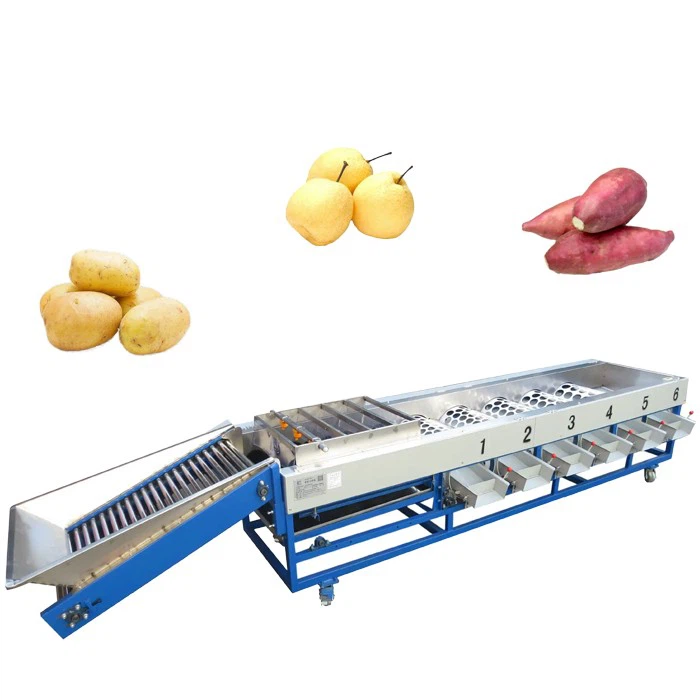 Fruit vegetable sorting machine 3 Fruit vegetable sorting machine 3