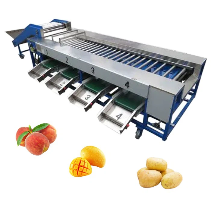 Fruit vegetable sorting machine 2 Fruit vegetable sorting machine 2